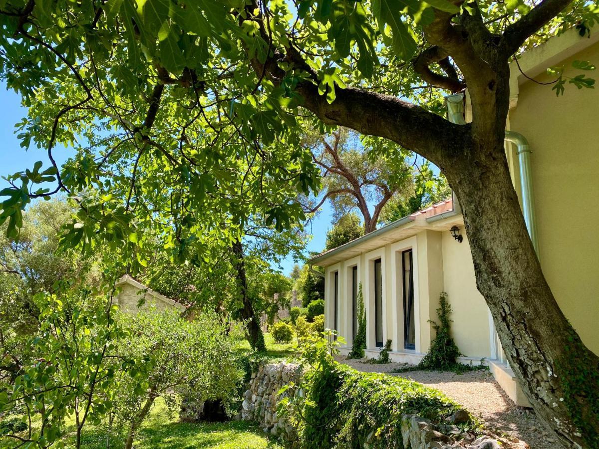 Boutique Hotel Malo Selo Χέρτσεγκ Νόβι Εξωτερικό φωτογραφία