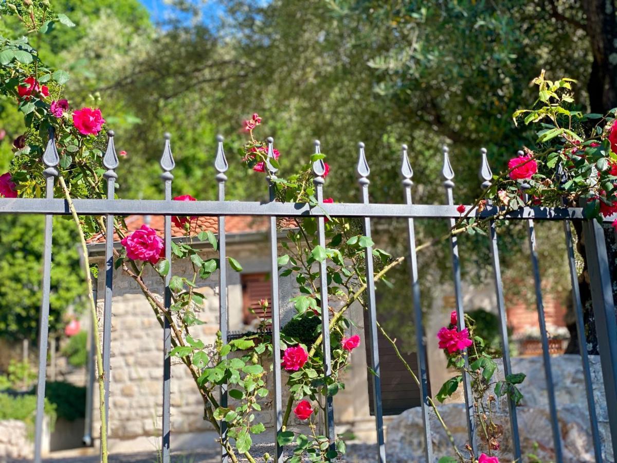 Boutique Hotel Malo Selo Χέρτσεγκ Νόβι Εξωτερικό φωτογραφία